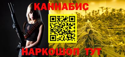 Альфа ПВП Малгобек