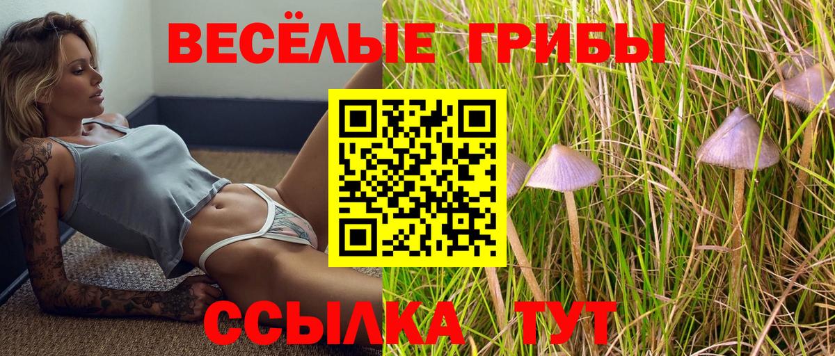 Псилоцибиновые грибы ЛСД Соль-Илецк