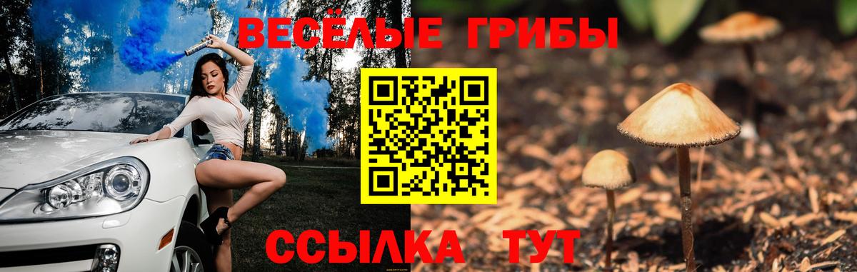 Соль-Илецк  Псилоцибиновые грибы мицелий  Вход с VPN 
