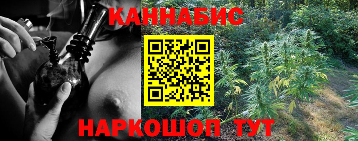 Шишки марихуана Ganja  Марихуана план  Бошки Шишки AK-47  Соль-Илецк  Вход с VPN  Бошки марихуана индика 